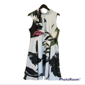 Ted Baker London Pale Blue Eden Evvia Ruffle Skater Dress